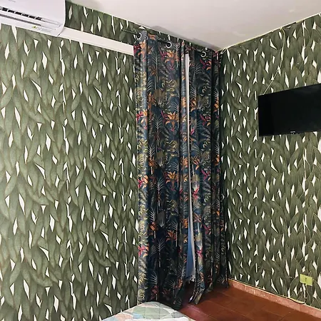 Magenta Roma House